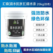 汇硕背水抗渗王